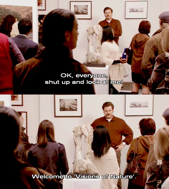 9967 ron swanson honeymoon woodworking