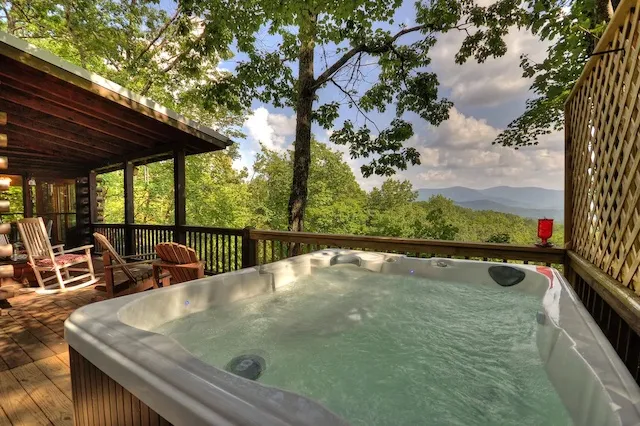 9986 georgia cabin interior